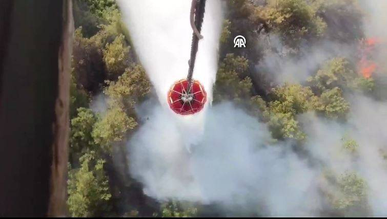 Bornova’da orman yangını - Resim: 5